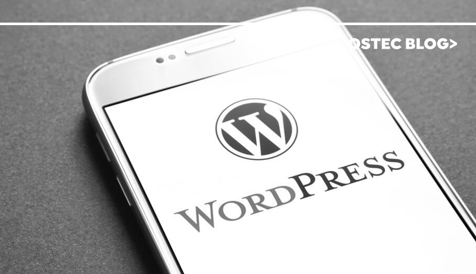 Celular exibindo a logo do Wordpress na tela.