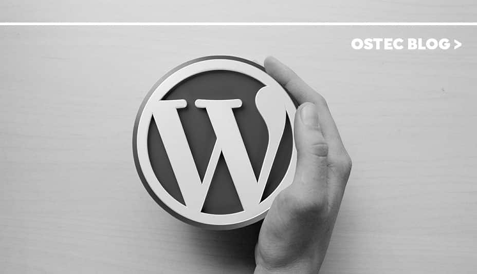 Mão segurando símbolo do Wordpress
